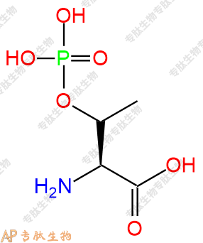 專肽生物產(chǎn)品磷酸化蘇氨酸、pThr、Thr(H2PO3)