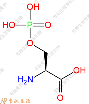 專肽生物產(chǎn)品Ser(PO3H2)