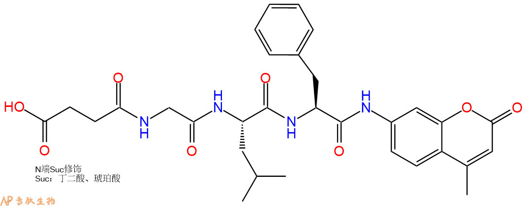 專肽生物產(chǎn)品三肽Suc-Gly-Leu-Phe-7-氨基-4-甲基香豆素