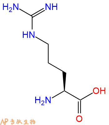 專肽生物產(chǎn)品Arg