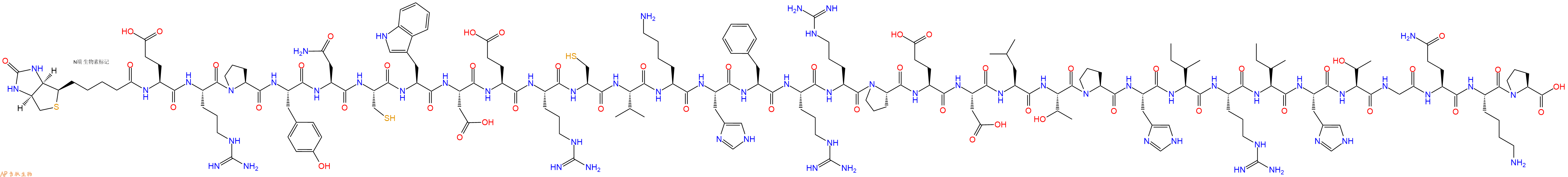 專肽生物產(chǎn)品生物素標(biāo)記肽Biotin-Glu-Arg-Pro-Tyr-Asn-Cys-Trp-Asp-Glu-A