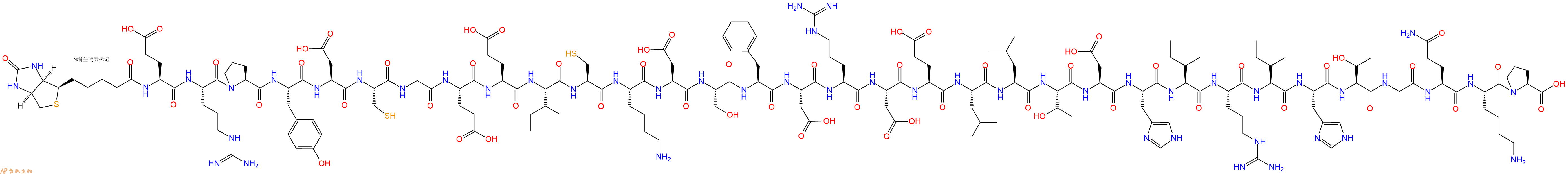 專肽生物產(chǎn)品生物素標(biāo)記肽Biotin-Glu-Arg-Pro-Tyr-Asp-Cys-Gly-Glu-Glu-I