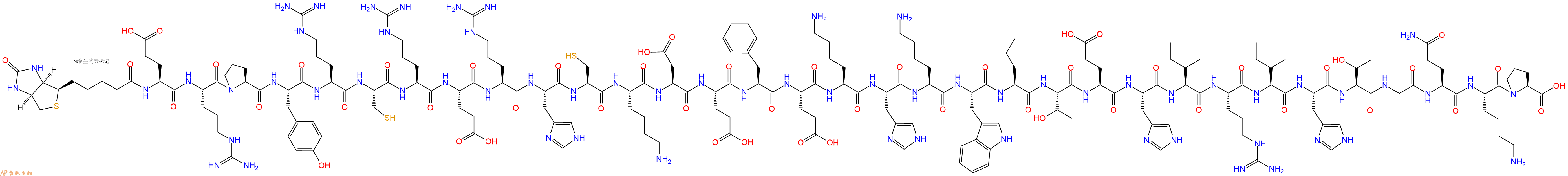 專肽生物產(chǎn)品生物素標(biāo)記肽Biotin-Glu-Arg-Pro-Tyr-Arg-Cys-Arg-Glu-Arg-H