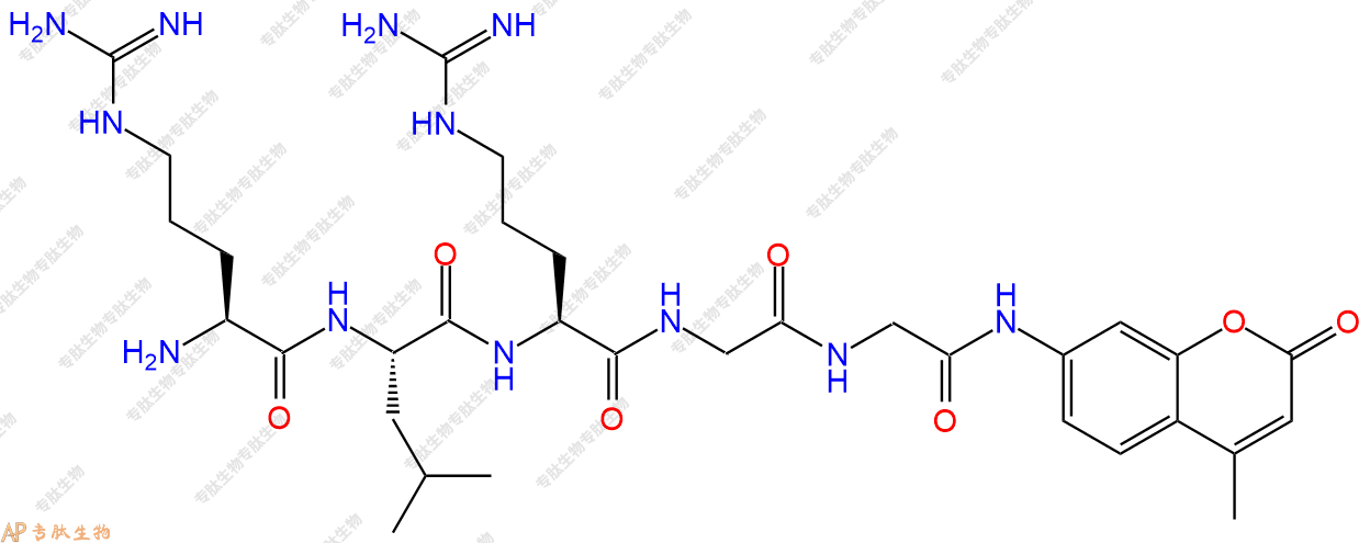 專肽生物產(chǎn)品五肽Arg-Leu-Arg-Gly-Gly-7-氨基-4-甲基香豆素