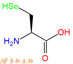 專肽生物產(chǎn)品Sec