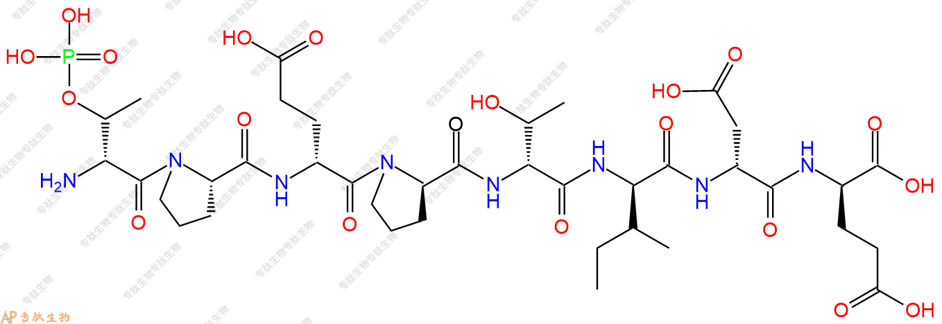 專肽生物產(chǎn)品八肽pDThr-P-DGlu-DPro-DThr-DIle-DAsp-DGlu