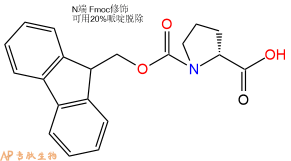 專肽生物產品Fmoc-D-脯氨酸/Fmoc-D-Pro-OH101555-62-8