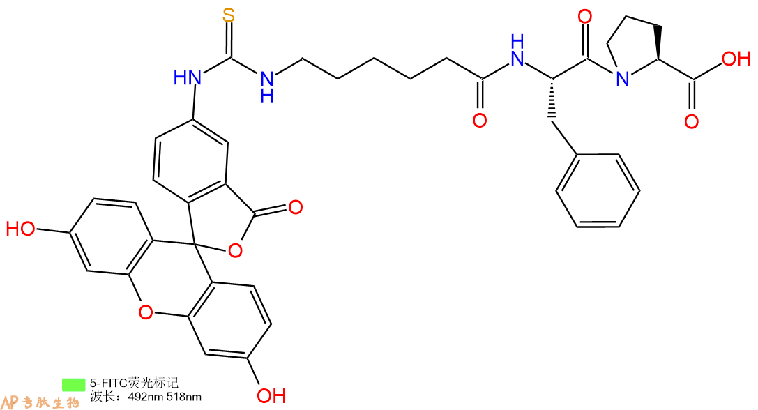 專肽生物產(chǎn)品三肽FITC-Acp-Phe-Pro