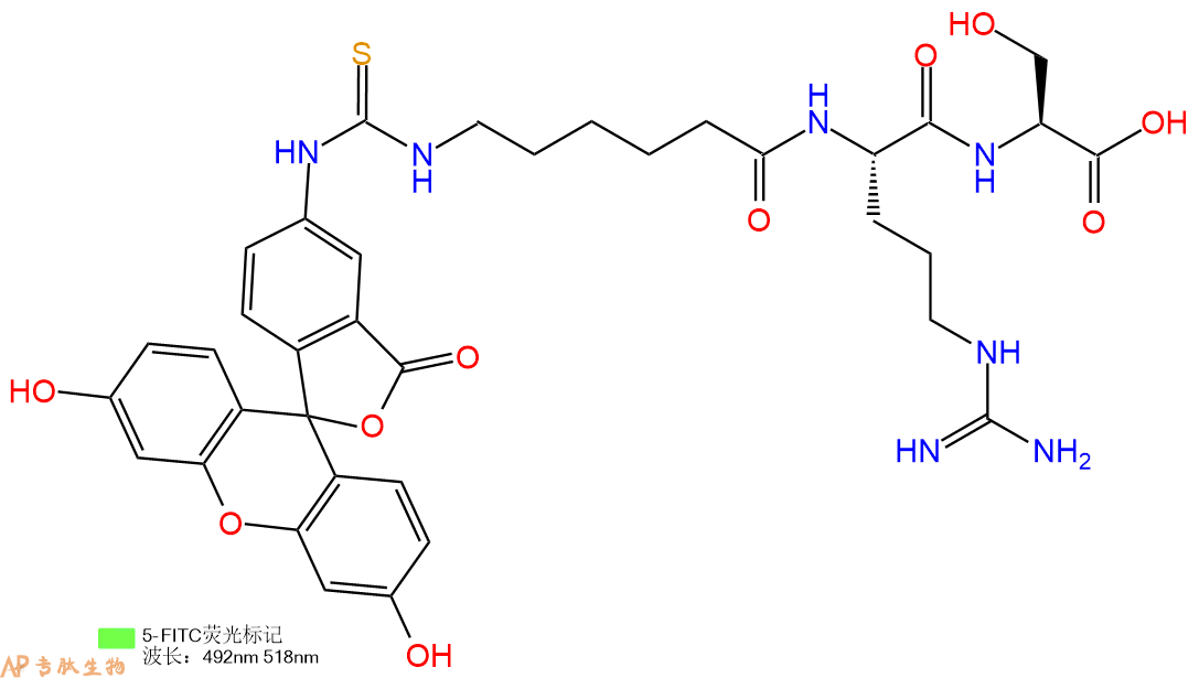 專肽生物產(chǎn)品三肽FITC-Acp-Arg-Ser