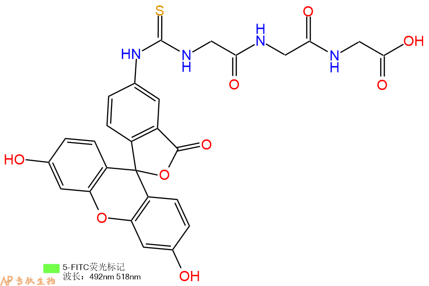 專肽生物產(chǎn)品三肽FITC-Gly-Gly-Gly