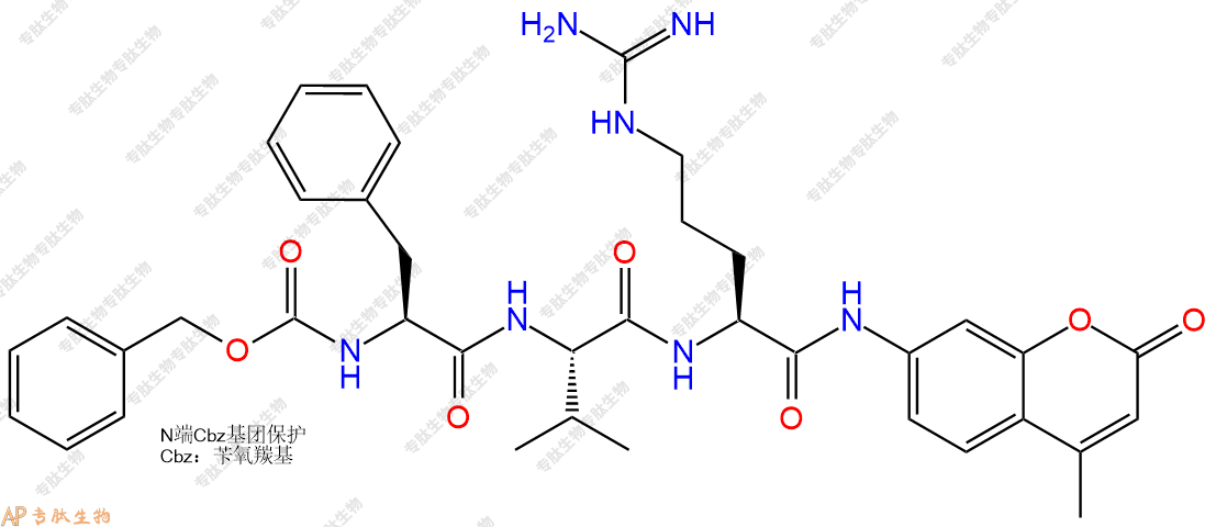 專肽生物產(chǎn)品三肽Cbz-Phe-Val-Arg-7-氨基-4-甲基香豆素