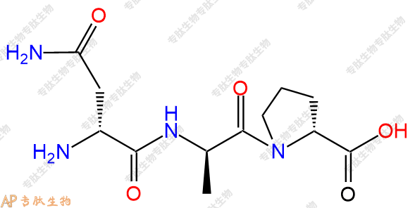 專肽生物產(chǎn)品三肽DAsn-DAla-DPro