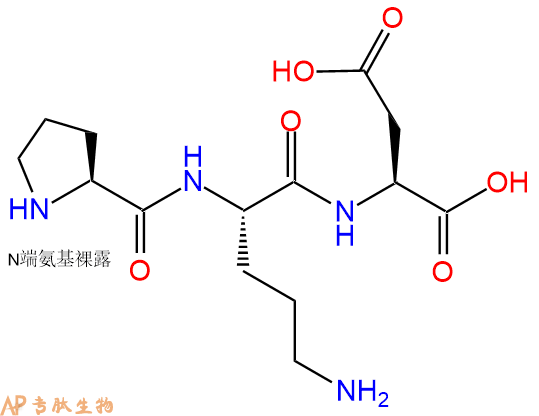 專肽生物產(chǎn)品三肽Pro-Orn-Asp