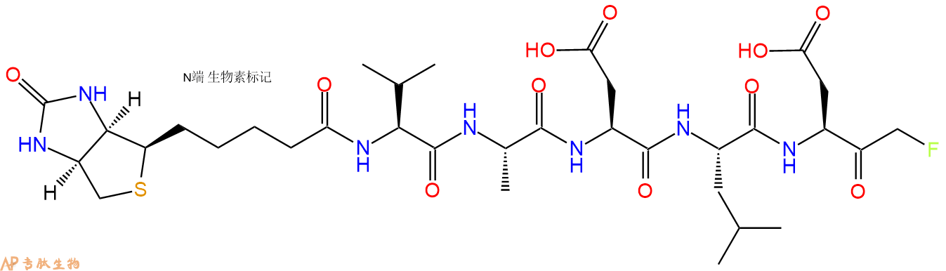 專肽生物產品五肽Biotin-Val-Ala-Asp-Leu-Asp-FMK