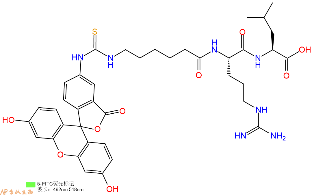 專肽生物產(chǎn)品三肽FITC-Acp-Arg-Leu