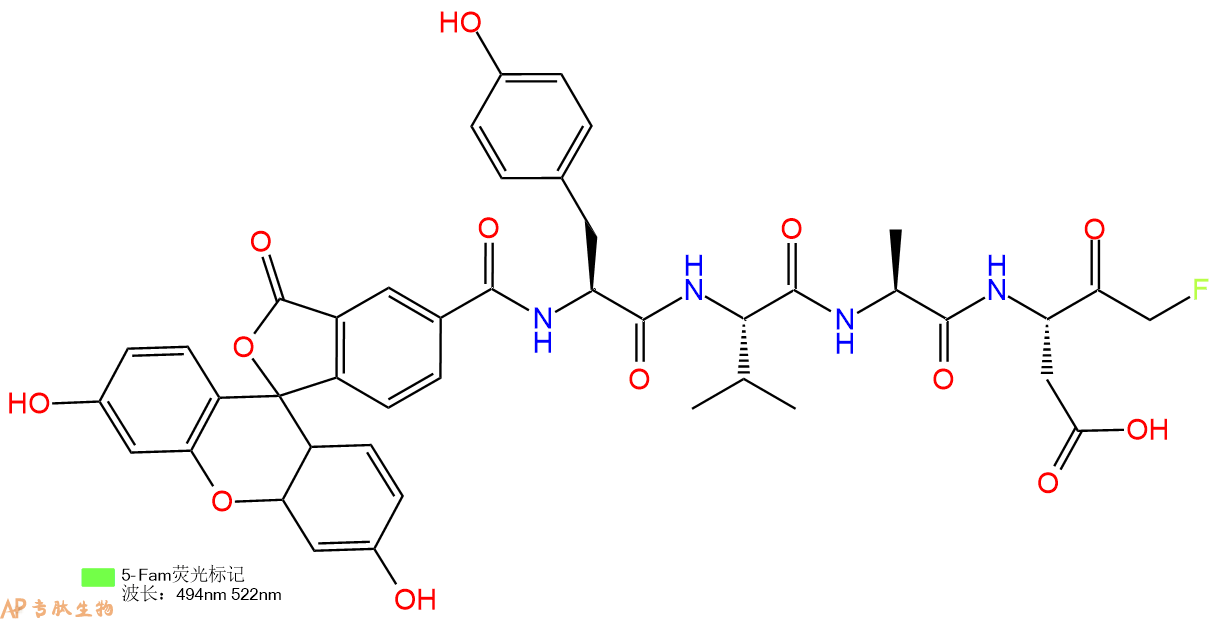 專肽生物產(chǎn)品熒光素標(biāo)記的caspase-1 inhibitor