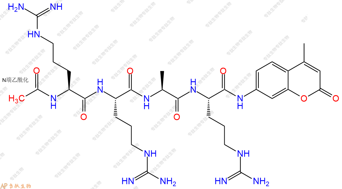 專(zhuān)肽生物產(chǎn)品Ac-Arg-Arg-Ala-Arg-AMC