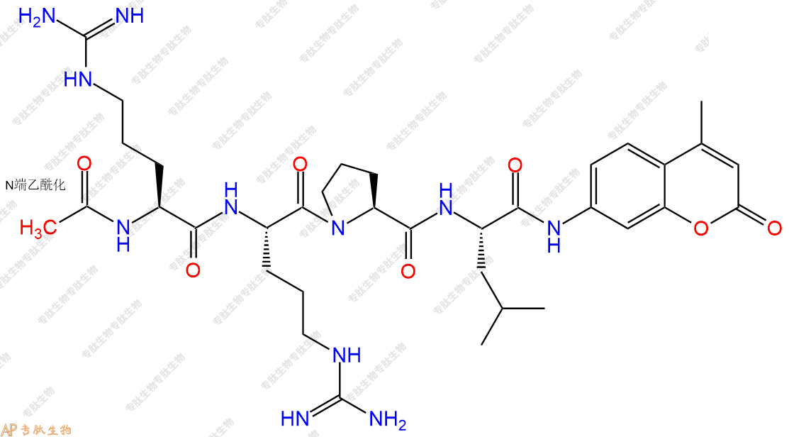 專肽生物產(chǎn)品Ac-Arg-Arg-Pro-Leu-AMC