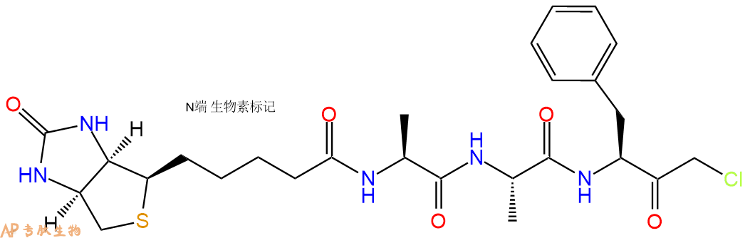 專肽生物產(chǎn)品BIOTIN-Ala-Ala-Phe-CMK