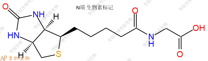 專肽生物產(chǎn)品Biotin-Gly