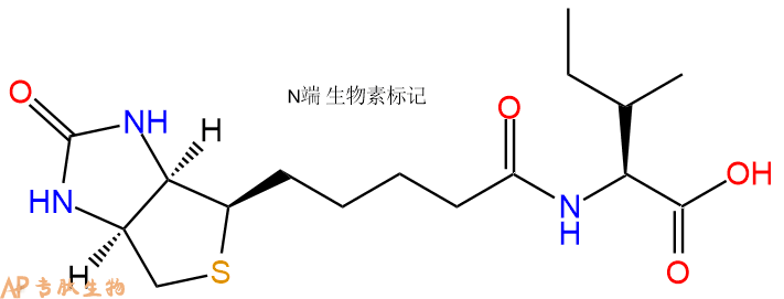 專肽生物產(chǎn)品Biotin-Ile