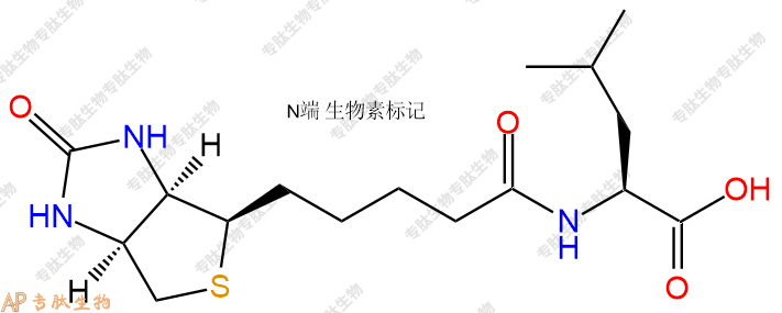 專肽生物產(chǎn)品Biotin-Leu