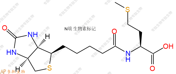 專肽生物產(chǎn)品Biotin-Met