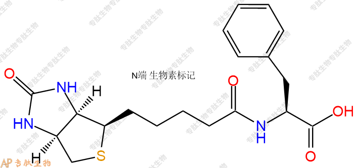 專肽生物產(chǎn)品Biotin-Phe