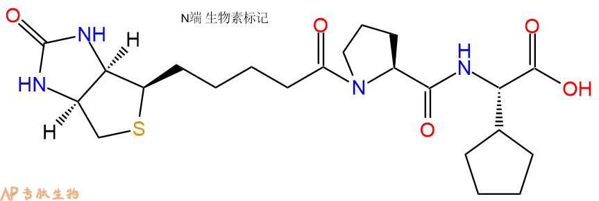 專肽生物產(chǎn)品BIOTIN-Pro-CPG