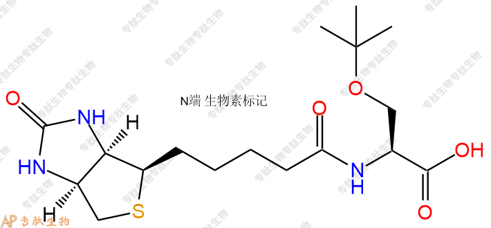 專(zhuān)肽生物產(chǎn)品Biotin-Ser(tBu)