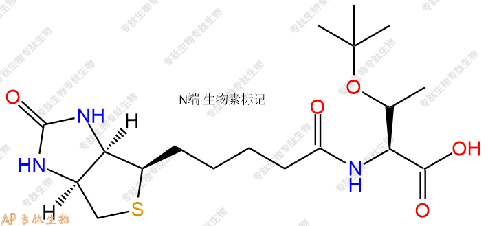 專(zhuān)肽生物產(chǎn)品Biotin-Thr(tBu)