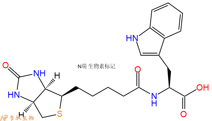 專肽生物產(chǎn)品Biotin-Trp