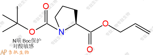 專肽生物產(chǎn)品Boc-Pro-Oall