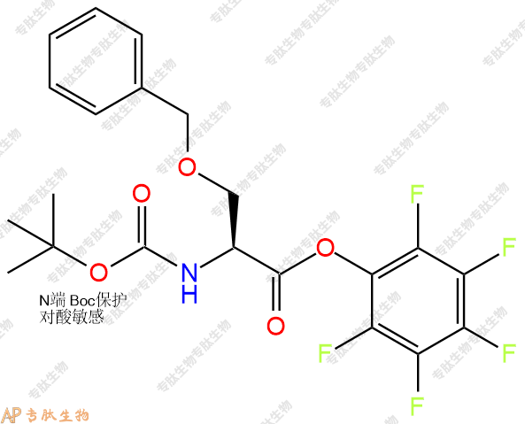 專肽生物產(chǎn)品Boc-Ser(Bzl)-OPFP