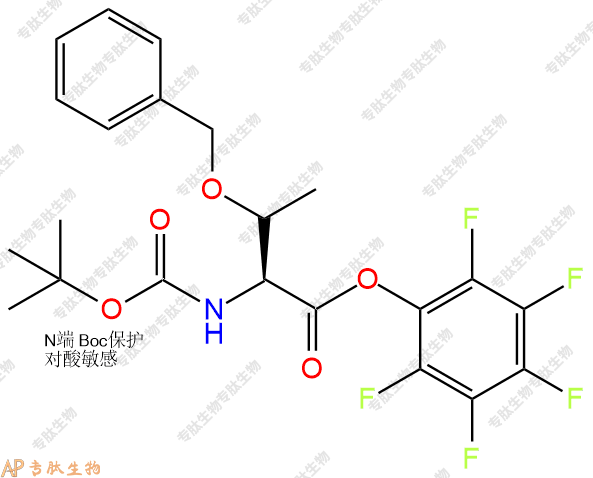 專肽生物產(chǎn)品Boc-Thr(Bzl)-OPFP