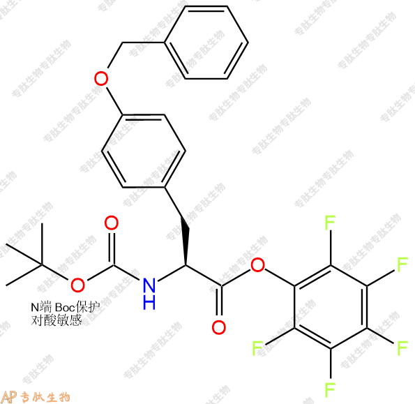 專肽生物產(chǎn)品Boc-Tyr(Bzl)-OPFP