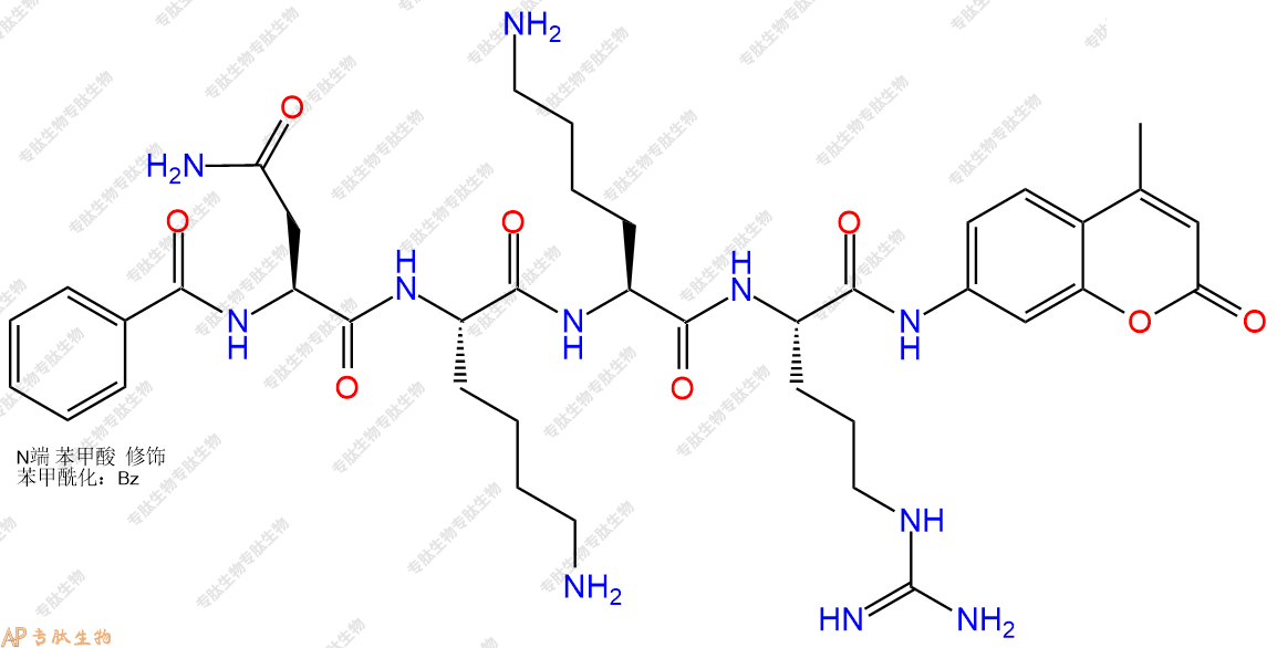 專肽生物產(chǎn)品Bz-Asn-Lys-Lys-Arg-AMC