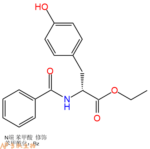 專肽生物產(chǎn)品Bz-Tyr-OEt