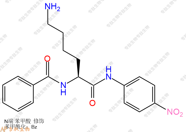 專肽生物產(chǎn)品Bz-Lys-pNA