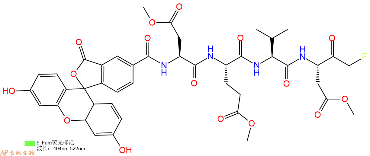 專肽生物產(chǎn)品FAM-Asp(OME)-Glu(OME)-Val-Asp(OME)-FLUOROMETHYLKET1926163-65-6