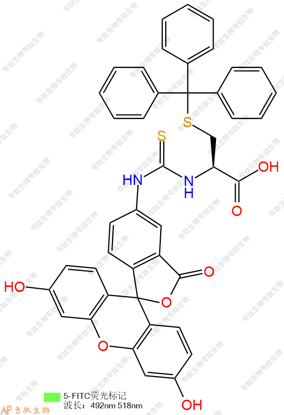 專肽生物產(chǎn)品FITC-Cys(Trt)