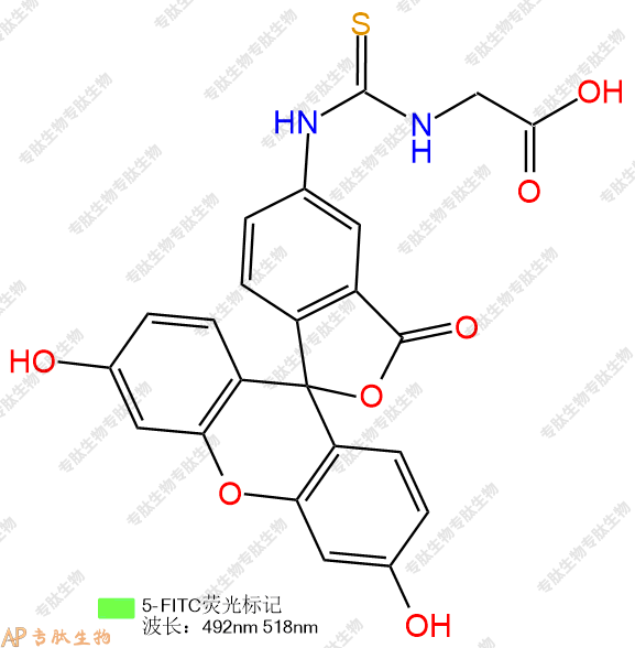 專肽生物產(chǎn)品FITC-Gly