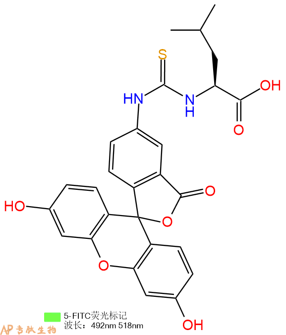 專肽生物產(chǎn)品FITC-Leu