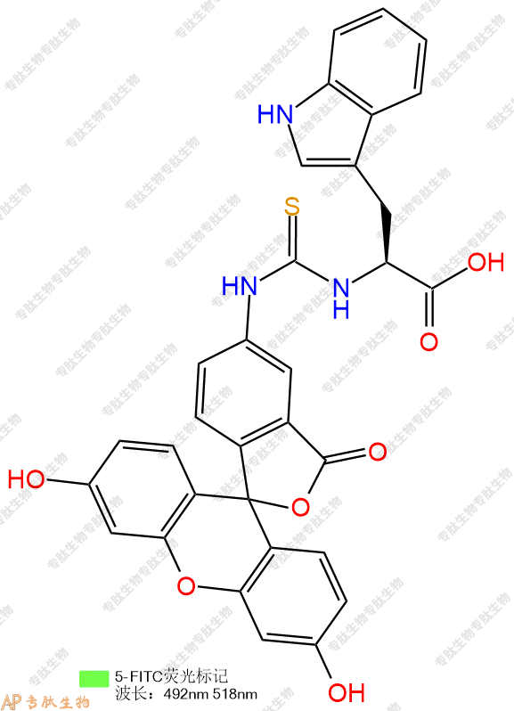 專肽生物產(chǎn)品FITC-Trp