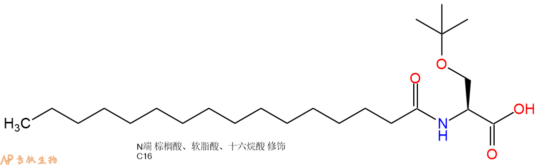 專肽生物產(chǎn)品Pal-Ser(tBu)