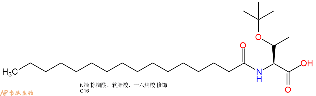 專肽生物產(chǎn)品Pal-Thr(tBu)