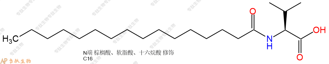 專(zhuān)肽生物產(chǎn)品Pal-Val