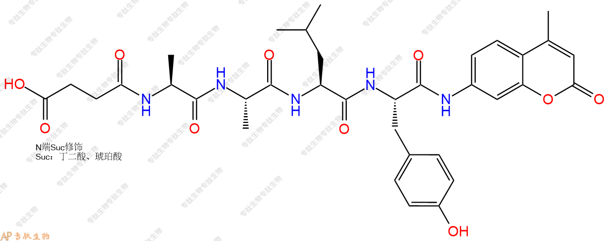 專肽生物產(chǎn)品Suc-Ala-Ala-Leu-Tyr-AMC