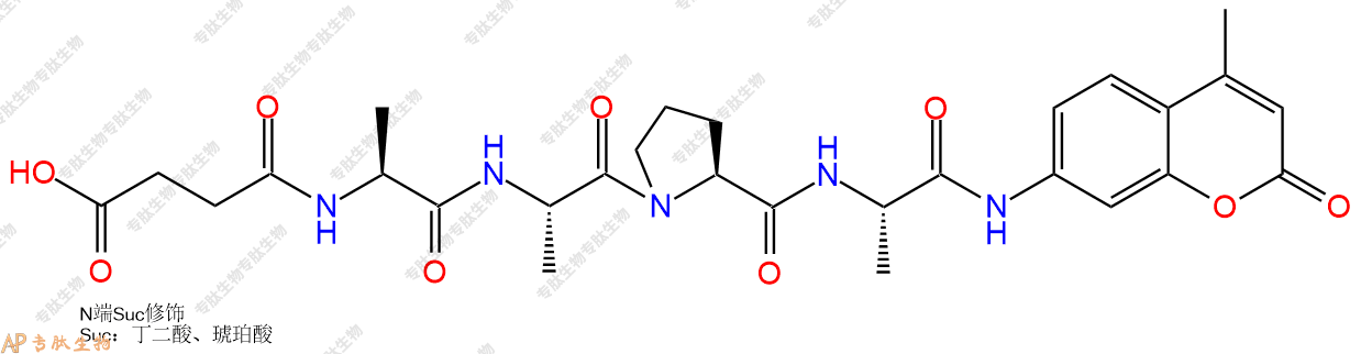 專肽生物產(chǎn)品SUC-Ala-Ala-Pro-Ala-AMC