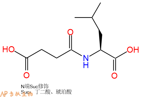 專肽生物產(chǎn)品Suc-Leu